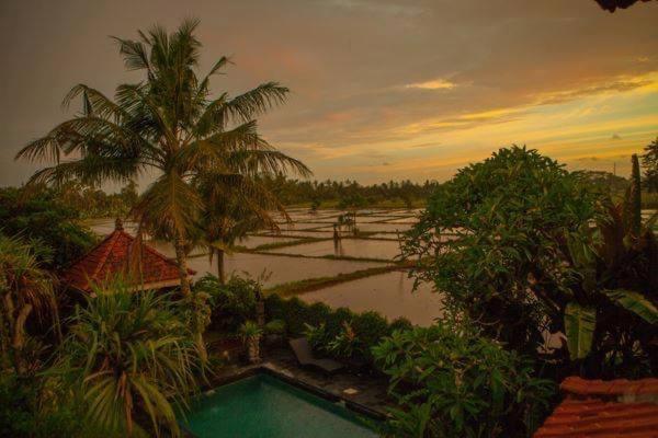 Hotel White House Ubud Exteriér fotografie